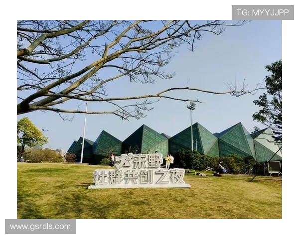 全面解析：在线观赛指南的有效利用提升赛事观赏体验