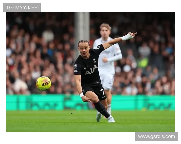 热刺本赛季表现稳健，竞争力持续提升