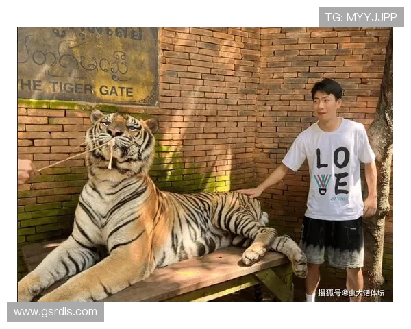 王昶一周豪掷上百万，鞋柜都快溢出来了！